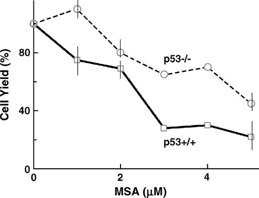 Figure 5. The selenium metabolite methyl selenenic acid did not induce a protective response in MEF. Rather, p53-mediated apoptosis predominated at methyl selenenic acid (MSA) concentrations >1 μmol/L. p53+/+ and p53−/− MEF were treated with indicated concentrations of methyl selenenic acid for 4 h. Cell survival was determined after 5 d in culture. p53+/+ MEF were preferentially sensitive to methyl selenenic acid (P < 0.02, Wilcoxon rank-sum test).