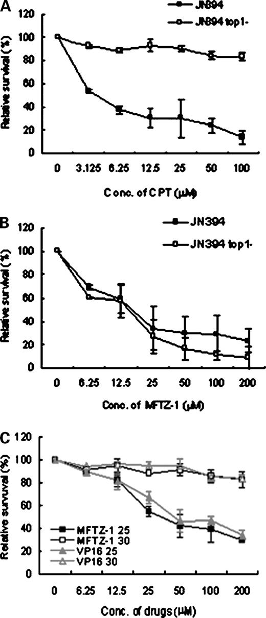 Figure 3. Topo II is the primary cytotoxic target for MFTZ-1 in yeast cells. Sensitivities of JN394 and JN394top1− toward camptothecin (CPT; A) or MFTZ-1 (B). C, effects of VP16 and MFTZ-1 on JN394top2-4 at 25°C or 30°C. Points, mean of three independent experiments; bars, SD.