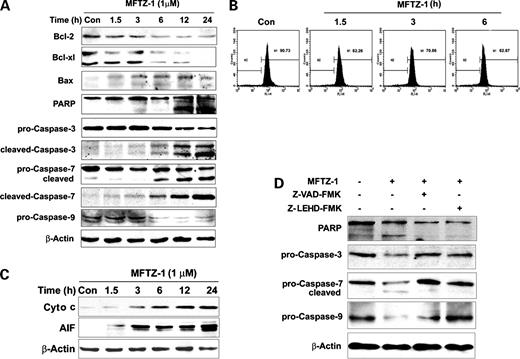 Figure 6. Effect of MFTZ-1 on apoptotic pathway in HL-60 cells. A, effect of MFTZ-1 on the expression of apoptosis-related proteins. HL-60 cells were treated with 1 μmol/L MFTZ-1 for the indicated times. Whole-cell lysate was prepared and subjected to Western blotting for Bax, Bcl-2, Bcl-xl, and cleavage of procaspase-3, procaspase-7, procaspase-9, and PARP. B, loss of mitochondrial membrane potential. After treatment with 1 μmol/L MFTZ-1 for the indicated times, the mitochondrial membrane potential loss (characterized by left shifting of the peak) of HL-60 was detected by DiOC6 (3) and analyzed by fluorescence-activated cell sorting. C, cytochrome c (Cyto c) and apoptosis-inducing factor (AIF) release. HL-60 cells were treated with 1 μmol/L MFTZ-1 for the indicated times. Cells were homogenized and lysates (cytosolic fraction) were assayed for cytochrome c and apoptosis-inducing factor levels by Western blotting analysis. D, caspase inhibitors attenuated MFTZ-1–induced cleavage of procaspase-3, procaspase-7, and PARP. HL-60 cells were cultured with 1 μmol/L MFTZ-1 for 24 h with or without pretreatment with Z-VAD-FMK (50 μmol/L) or Z-LEHD-FMK (25 μmol/L) for 0.5 h. The results are typical of results obtained in three independent experiments that gave similar results.