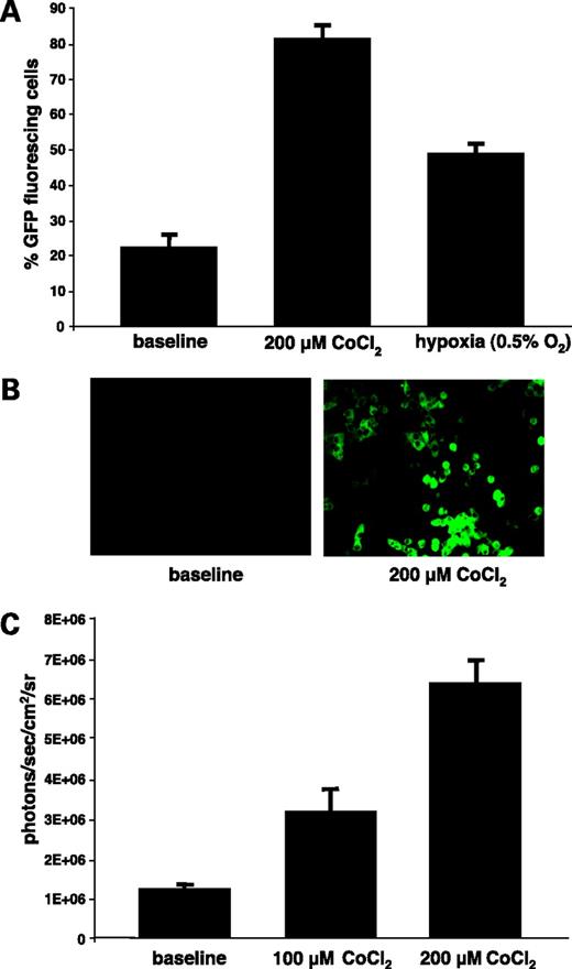 Figure 2. Validation of the triple reporter system in transduced Morris hepatoma cells. A, fluorescence-activated cell sorting analysis. B, fluorescence microscopy of transduced Morris hepatoma cells. C, firefly luciferase activity in transduced Morris hepatoma. Baseline, control (normal) conditions.