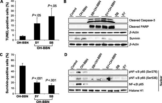 Figure 5. Effect of silymarin and silibinin on apoptosis and associated molecular events in OH-BBN–induced urothelium. Immunohistochemical and immunoblot analyses of urothelial tissue samples obtained from the experiment detailed in Fig. 1C were done to study the molecular biomarkers and events associated with apoptosis. A, apoptosis was analyzed by TUNEL staining in urothelium as detailed in Materials and Methods. The apoptotic index was determined as (number of TUNEL-positive cells × 100) / total number of cells counted. Columns, mean in each group; bars, SE. B, bladder tissue samples were randomly taken from each group and analyzed for cleaved caspase-3, cleaved poly(ADP-ribose) polymerase (PARP), and survivin protein levels by immunoblotting. Each membrane was stripped and reprobed with β-actin as loading control. C, immunohistochemical staining for survivin in urothelium was done as detailed in Materials and Methods. The survivin-positive cells were determined as [number of positively stained (brown) cells × 100] / total number of cells counted. Columns, mean in each group; bars, SE. D, nuclear extract was prepared from bladder tissue samples randomly taken from each group and analyzed for phosphorylated and total NF-κB p65 protein levels by immunoblotting. Membrane was stripped and reprobed with histone H1 as loading control.