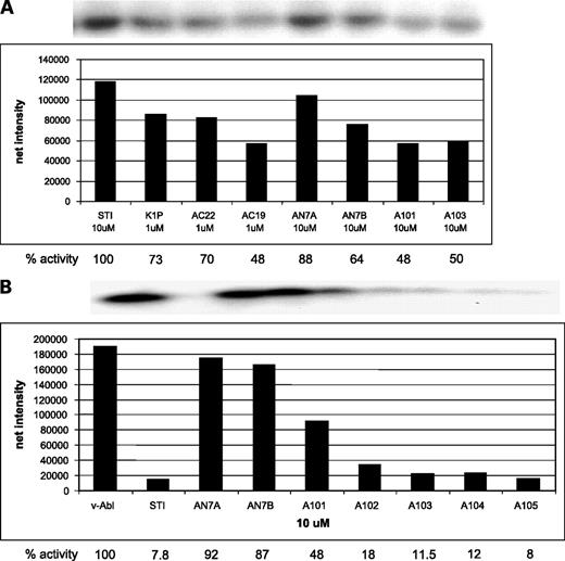 Figure 5. In vitro effect of furans and acetylenes on Src (A) and v-Abl (B) kinase activity in cell-free assay. The recombinant purified enzyme and its substrate following exposure to each of the test drugs were added in the presence of [γ-32P]ATP to the sample well of a SDS-PAGE. Following the completion of the electrophoresis, the gel was autoradiographed with substrate for the Src kinase (A) and the v-Abl kinase (B). A, effects of the K1P, AC22, and AC19 acetylenic compounds as well as the furan compounds AN7A, AN7B, A101, and A103 on the Src kinase. B, effects of the furan compounds AN7A, AN7B, A101, A102, A103, A104, and A105 on the v-Abl kinase. STI, imatinib.
