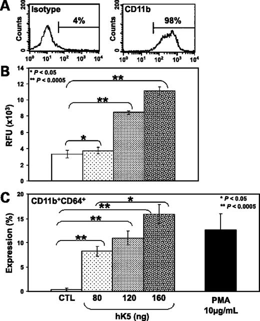 Figure 6. hK5His protein acts as a neutrophil chemoattractant and promotes activation. A, expression of CD11b cell surface adhesion marker on isolated PMN: isotype antibody (left) and test antibody (right). B, relative fluorescence units (RFU) of migrated PMN toward either increasing doses of purified hK5His protein (80, 120, and 160 ng) diluted in Opti-MEM or Opti-MEM alone. C, columns, mean % expression of CD11b+CD64+ PMN after exposure to either increasing doses of purified hK5His protein (80, 120, and 160 ng) diluted in Opti-MEM or Opti-MEM alone or phorbol myristate acetate (PMA; 10 μg/mL) as a positive control; bars, SE. Statistical analysis was done using Student's t test.
