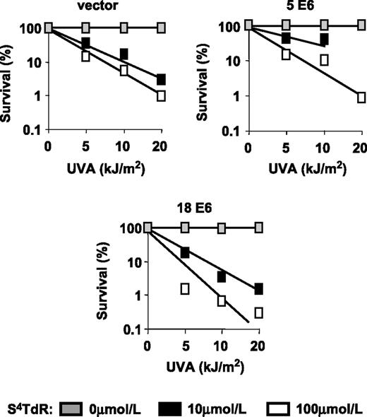 Figure 6. Survival of HT1080 sublines expressing E6 from HPV5 or HPV18 to S4TdR/UVA treatment, measured by colony-forming assay. Cells were treated with 0, or 10, 100 μmol/L of S4TdR as detailed in Materials and Methods, then plated at single colony density, and UVA-irradiated at 0, 5, 10, and 20 kJ/m2. Surviving colonies were counted after 10 to 14 days. All curves were determined from at least three independent experiments, each done in triplicate. There were no significant differences in cell-killing at the UVA doses used, when comparing the HPV lines to the vector control line.