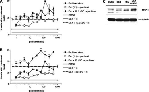Figure 5. NSC 95397 overrides dexamethasone's cytoprotective effects in paclitaxel-treated cells. MDA-MB-231 cells were pretreated with vehicle, dexamethasone (1 μmol/L), or a mixture of dexamethasone and (A) 12.5 μmol/L NSC 95397 or (B) 25 μmol/L NSC 95397 for 1 h followed by overnight paclitaxel treatment. Cells with condensed nuclei were quantified on the ArrayScan II. Dexamethasone protected cells against paclitaxel-induced chromatin condensation [□, DEX (1 h) → paclitaxel], and NSC 95397 overrode that effect [•, DEX + NSC → paclitaxel]. Data are from a single experiment that has been repeated twice with similar results. C, NSC 95397 does not decrease levels of MKP-1. Lysates from MDA-MB-231 cells treated with vehicle (DMSO), 1 μmol/L dexamethasone (DEX), 25 μmol/L NSC 95397 (NSC), or a mixture of dexamethasone and NSC 95397 (DEX & NSC) were immunoblotted with anti-MKP-1 or anti-α-tubulin antibodies.