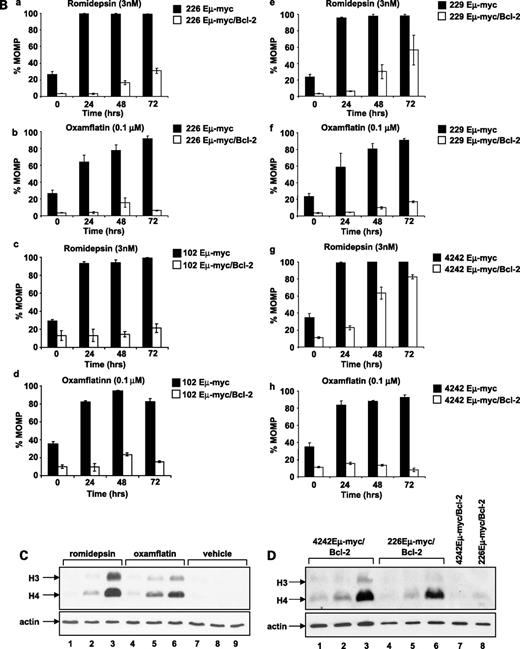Figure 2. Romidepsin can kill Eμ-myc/Bcl2 lymphomas over time. 4242Eμ-myc, 4242Eμ-myc/Bcl-2, 229Eμ-myc, 229Eμ-myc/Bcl-2, 226Eμ-myc, 226Eμ-myc/Bcl-2, 102Eμ-myc, and 102Eμ-myc/Bcl-2 lymphomas were incubated for up to 72 h with the concentration of HDACi required to kill ∼70% of Eμ-myc lymphomas following 24-h treatment (3 nmol/L romidepsin or 0.1 μmol/L oxamflatin). Cell viability was assessed by (A) propidium iodide staining and (B) loss of MOMP. Bars, SE of at least three independent experiments. C, 4242Eμ-myc cells were treated with 3.0 nmol/L romidepsin, 0.1 μmol/L oxamflatin or vehicle (lanes 7-9) for 2 h (lanes 1, 4, and 7), 8 h (lanes 2, 5, and 8), and 24 h (lanes 3, 6, and 9). Whole-cell lysates were used for Western blot analysis using antibodies specific for acetylated histones H3 and H4. Blots were reprobed with anti-tubulin polyclonal antibody to assess protein loading. D, 4242Eμ-myc/Bcl-2 and 226Eμ-myc/Bcl-2 cells were treated with 3.0 nmol/L romidepsin for 2 h (lanes 1 and 4), 8 h (lanes 2 and 5), and 24 h or vehicle for 24 h (lanes 7 and 8). Whole-cell lysates were used for Western blot analysis using antibodies specific for acetylated histones H3 and H4. Blots were reprobed with anti-β actin polyclonal antibody to assess protein loading.