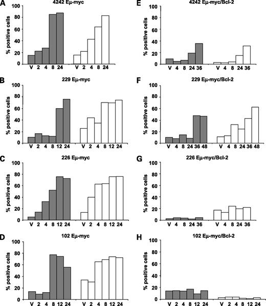 Figure 3. Romidepsin can kill Eμ-myc/Bcl2 lymphomas in vivo. C57BL/6 mice bearing (A) 4242Eμ-myc, (B) 229Eμ-myc, (C) 226Eμ-myc, (D) 102Eμ-myc, (E) 4242Eμ-myc/Bcl-2, (F) 229Eμ-myc/Bcl-2, (G) 226Eμ-myc/Bcl-2, and (H) 102Eμ-myc/Bcl-2 lymphomas were injected with romidepsin (5.6 mg/kg i.v.) or vehicle. Lymphoma cells were harvested at the time points (hours) indicated following romidepsin treatment or 24 h following vehicle treatment (v). Apoptosis was measured by either Fluorogold staining for outer cell membrane permeabilization (gray columns) or DNA fragmentation (white columns).