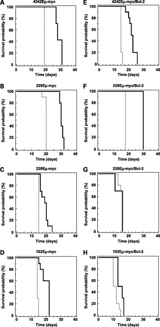 Figure 4. Therapeutic effect of romidepsin in vivo. C57BL/6 mice (10 mice per group) bearing (A) 4242Eμ-myc, (B) 229Eμ-myc, (C) 226Eμ-myc, (D) 102Eμ-myc, (E) 4242Eμ-myc/Bcl-2, (F) 229Eμ-myc/Bcl-2, (G) 226Eμ-myc/Bcl-2, and (H) 102Eμ-myc/Bcl-2, lymphomas were treated with romidepsin or vehicle. Therapy commenced after WBC counts reached ≥13 × 103/μL. Therapy consisted of either 5.6 mg/kg romidepsin (injected i.v. every 4 d for a total of four doses) or vehicle. Kaplan-Meier survival curves of vehicle-treated mice (dashed line) and romidepsin-treated mice (solid line) are shown. Median survival and P values for the different lymphomas were as follows: 4242Eμ-myc, median survival vehicle 19 d, median survival romidepsin 28 d, P < 0.0003; 4242Eμ-myc/Bcl-2, median survival vehicle 12 d, median survival romidepsin 22.5 d, P < 0.0001; 229Eμ-myc, median survival vehicle 20 days, median survival romidepsin 30 d, P < 0.0001; 229Eμ-myc/Bcl-2, median survival vehicle 18 d, median survival romidepsin 30 d, P < 0.0001; 226Eμ-myc, median survival vehicle 15 d, median survival romidepsin 19.5 d, P < 0.0001; 226Eμ-myc/Bcl-2, median survival vehicle 16 d, median survival romidepsin 16 d, P=0.86; 102Eμ-myc, median survival vehicle 14 d, median survival romidepsin 22 d, P < 0.0001; 102Eμ-myc/Bcl-2, median survival vehicle 11 d, median survival romidepsin 14.5 d, P < 0.07.