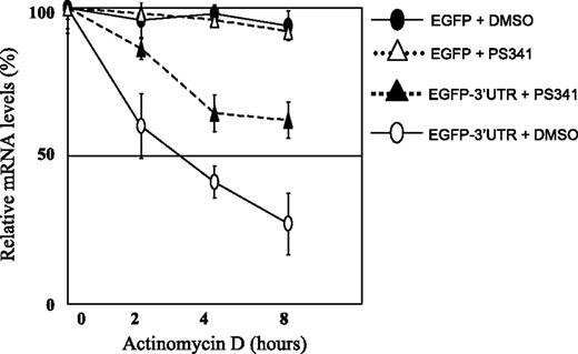 Figure 2. PS-341 treatment stabilizes reporter EGFP transcripts in the presence of the 3′-UTR of DR5. LNCaP cells were transfected with EGFP plasmid alone or EGFP plasmid containing 3′-UTR of DR5. Twenty-four hours after transfection, LNCaP cells were treated with DMSO (0.05%) or PS-341 (500 nmol/L) for 14 h. Transfected cells were then washed with PBS, treated with actinomycin D (2 μg/mL), and then harvested for RNA isolation at 0, 2, 4, and 8 h. EGFP was measured by quantitative real-time PCR analysis and the values were normalized to cotransfected rat GAPDH levels. Experiments were repeated in triplicate and the mean ± SD is plotted.