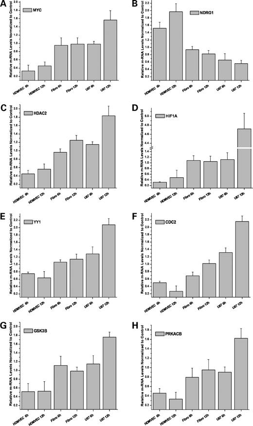 Figure 4. RT-PCR confirmation. The real-time quantitative RT-PCR of MYC, YYI, HIF1A, HDAC2, CDC2, GSK3B, and PRKACB genes paralleled the microarray results. At time points 6 and 12 h after MPA treatment, all genes are down-regulated in endothelium, not or weakly regulated in fibroblasts, and increasingly up-regulated in U87 cells. Accordingly, MYC negatively regulated downstream gene, NDRG1, exhibits the opposite regulation pattern. Columns, mean (n = 3); bars, SD.