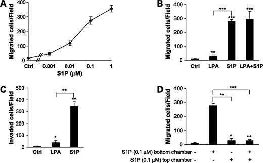Figure 1. S1P- and LPA-induced cell migration and invasion in HEY EOC cells. A, dose curve of S1P-induced migration. B, cell migration in response to LPA (5 μmol/L) and/or S1P (0.1 μmol/L). C, cell invasion in response to LPA (5 μmol/L) or S1P (0.1 μmol/L). D, S1P was added to bottom, top, or both chambers to modulate cell migration. *, P < 0.05; **, P < 0.01; ***, P < 0.001, Student's t test. Statistical analyses were conducted by comparing each case with the control (Ctrl) unless specified.