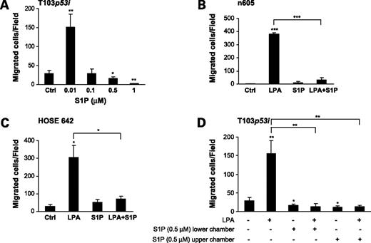 Figure 2. Effect of S1P in cell migration in HOSE cells. A, dose curve of S1P-induced migration in T103p53i cells. B and C, primary HOSE n605 and immortalized HOSE 642 cell migration in response to LPA (1 μmol/L) and/or S1P (0.5 μmol/L). D, T103p53i cell migration in the presence of LPA (1 μmol/L) and/or S1P (0.5 μmol/L) with S1P was added to the bottom or top chamber. *, P < 0.05; **, P < 0.01; ***, P < 0.001, Student's t test. Statistical analyses were conducted by comparing each case with the control unless specified.