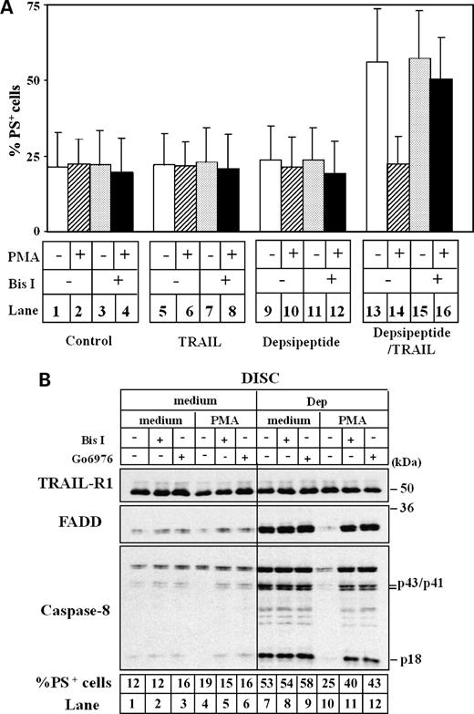 Figure 2. Recruitment of FADD is critical for HDACi-mediated sensitization to TRAIL-induced apoptosis. A, CLL cells were incubated for 16 h either alone or in the presence of depsipeptide (10 nmol/L). Cells were exposed to PMA (20 ng/mL) for 30 min and/or bisindolylmaleimide I (Bis I; 1 μmol/L) for 60 min before TRAIL (500 ng/mL) for a further 4 h when cells were assessed for apoptosis by phosphatidylserine (PS) externalization. Columns, mean (n = 9); bars, SD. B, CLL cells were treated as in A, except that cells were also exposed to Go6976 60 min before TRAIL exposure, and apoptosis was assessed as in A. Cells were also exposed to b-TRAIL (500 ng/mL) for 15 min and the DISC was isolated as described in Materials and Methods and examined by Western blotting.
