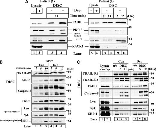 Figure 4. PKCβ, lymphocyte-specific protease-1 (LSP1), Lyn, Syk, and SHP-1 are detected in the isolated DISC. CLL cells were exposed to depsipeptide (10 nmol/L) for 16 h followed by ST-TRAIL (500 ng/mL) at 37°C and the TRAIL DISC was isolated. A, protein samples of both lysate and the DISC from two patients were analyzed by Western blotting. B, protein samples of the isolated DISC from control or depsipeptide-exposed cells at the indicated times were analyzed. C, protein samples of the lysate and the receptor pulled down from unstimulated (u/s) cells as well as the isolated DISC from control or depsipeptide-exposed cells were analyzed.