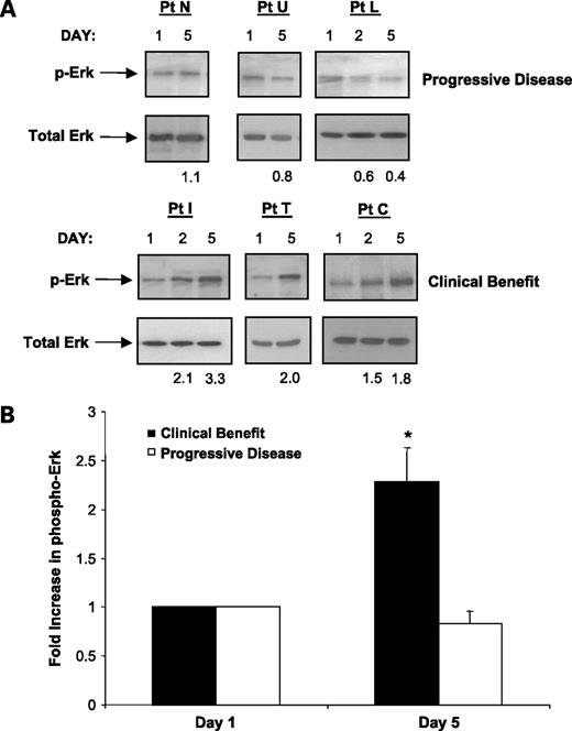 Figure 3. A, immunoblot analysis of patient PBMCs for levels of p-ERK and total ERK at days 1, 2, and 5 of a representative treatment cycle. Band density as compared with day 1 is provided at the bottom of each lane. B, graphical representation of the densitometric data obtained from Fig. 3A. *, significant difference as determined by Student's t test (P = 0.015).