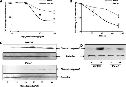 Figure 1. Gemcitabine differentially regulates cell viability and caspase-3 cleavage in BxPC-3 and Panc-1 cells. BxPC-3 and Panc-1 cells were incubated in the presence of gemcitabine (G; 0-100 μg/mL) for 48 h (A, C, and D) or 100 μg/mL gemcitabine for the indicated times (B). A and B, cell viability as measured in a MTT assay. Representative of at least three independent experiments, expressed as 100% of the respective untreated cells. *, P < 0.05; **, P < 0.01, gemcitabine-treated Panc-1 versus BxPC-3 cells. C and D, immunoblots using an anti-cleaved caspase-3 antibody (top) or an anti-β-tubulin antibody (bottom). Representative of three independent experiments. Expression of β-tubulin was used as an internal loading control.