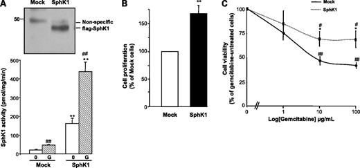 Figure 6. Increasing SphK1 activity sensitized BxPC-3 cells to gemcitabine. A to C, BxPC-3 cells were transfected with a SphK1 cDNA. A, efficient FLAG-tagged SphK1 cDNA transfection in BxPC-3 cells was checked by Western blot using an anti-FLAG antibody, and SphK1 activity was measured in mock- and SphK1-transfected BxPC-3 cells treated or not with 100 μg/mL gemcitabine. Representative of five independent experiments. B, mock- and SphK1-transfected BxPC-3 cell proliferation was assessed after 48 h of cell culture. Results are expressed as 100% of mock-transfected cells. Representative of 10 independent experiments. C, mock- and SphK1-transfected BxPC-3 cells were treated for 48 h with gemcitabine (0-100 μg/mL). Cell viability was assessed by MTT assay. Results are expressed as 100% of the respective gemcitabine-untreated control or SphK1-transfected cells. Representative of five independent experiments. *, P < 0.05; **, P < 0.01, SphK1 versus mock-transfected cells. #, P < 0.05; ##, P < 0.01, gemcitabine-treated versus untreated cells.