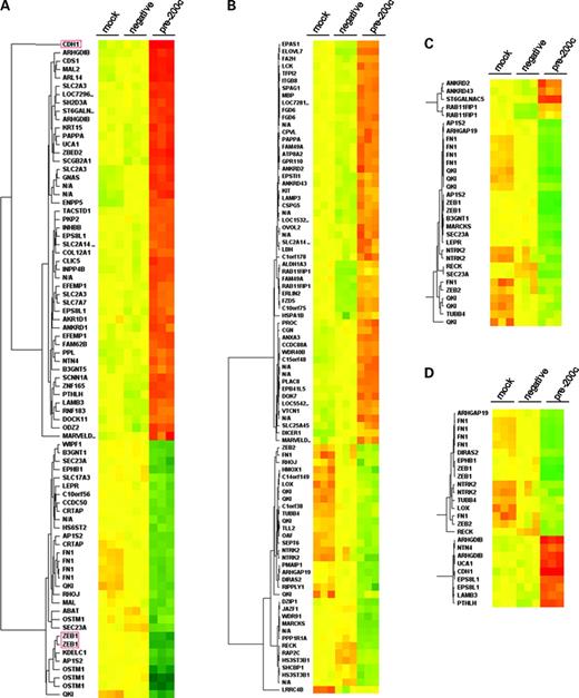 Figure 5. Heatmap of genes significantly affected by restoration of miR-200c levels in Hec50 cells as determined by expression profiling. Hec50 cells were treated in triplicate with mock, negative control, or pre-200c transfection, and gene expression analysis was done on Affymetrix HGU133 Plus 2.0 oligonucleotide cDNA expression array chips. A, genes with a statistically significant (ANOVA) ≥1.5-fold up-regulation (red) or down-regulation (green) in the pre-200c–treated cells versus both the negative control and the mock-transfected cells are shown in a heatmap. Expected alterations in E-cadherin (CDH1) and ZEB1 are highlighted. B, genes ≥1.5-fold up-regulated or down-regulated in the pre-200c–treated cells versus either negative control are shown in a separate heatmap. C, a heatmap of genes from A or B that are bioinformatically predicted to be targets of miR-200c. D, genes differentially regulated by miR-200c implicated in cell migration as determined by Ingenuity Pathway Analysis. Note that each gene was normalized to its average expression over the nine chips, such that the intensities center around 1 and are presented on a scale of −2 to +2 and are thus not indicative of relative fold changes. Fold changes and P values for these genes are listed in Supplementary Table S1.1