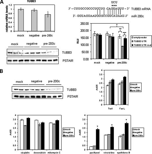 Figure 7. A site in the TUBB3 3′-UTR is a direct target of miR-200c, and a decrease in TUBB3 protein corresponds with an increase in cell death in response to microtubule-targeting agents. A, SYBR Green real-time RT-PCR using primers specific for TUBB3 was done on RNA from Hec50 cells treated with miR-200c mimic (pre-200c), negative scrambled control (negative), or mock-transfected (mock) control (top left). A corresponding Western blot consisting of protein from the same cells was probed for TUBB3 (bottom left) and PSTAIR (used as a loading control). A fragment of the TUBB3 3′-UTR (located 117–379 bp after the stop codon) containing the putative miR-200c binding site, or the same fragment with the indicated base pairs that bind to the miR-200c seed sequence mutated, was cloned into the luciferase reporter vector pMIR-REPORT. These constructs, empty pMIR-REPORT vector, vector containing wild-type TUBB3 3′-UTR, or mutated TUBB3 3′-UTR (TUBB3 UTR mut), were transfected into Hec50 cells following negative control, pre-200c, or mock transfection. A dual reporter luciferase assay was done, and relative luciferase units (RLU) were calculated as firefly luciferase values divided by renilla values. Columns, mean of five replicate samples; bars, SE. *, P = 0.041, statistically significant difference in the amount of luciferase detected when the wild-type TUBB3 UTR is in the presence of pre-200c versus negative control. **, P = 0.006, difference in the amount of luciferase in the presence of pre-200c and either the empty vector or wild-type TUBB3 3′-UTR–containing reporter. ***, P = 0.003, difference between the amounts of luciferase measured when it is targeted by wild-type versus mutated TUBB3 3′-UTR. B, an aggressive ovarian cancer cell line, Hey, was treated with pre-200c, a negative control, or mock transfection. Top left, Western blot for TUBB3 with PSTAIR as a loading control. A Cell Death ELISA was done on the mock-, negative control–, or pre-200c–transfected Hey cells treated with various chemotherapeutic agents. Top right, Trail and FasL; bottom left, cisplatin, doxorubicin, and mitomycin C; bottom right, paclitaxel, vincristine, and epothilone B. Asterisks, statistically significant differences (as determined by Student's t tests) between the pre-200c–treated cells versus negative- and mock-transfected controls individually (P = 5.8 × 10−5 and P = 7.9 × 10−5, pre-200c versus mock and negative control, respectively, in the paclitaxel-treated group; P = 0.0005 and P = 0.0009, pre-200c versus mock and negative control, respectively, in the vincristine-treated group; and P = 1.3 × 10−5 and P = 2.3 × 10−5, pre-200c versus mock and negative control, respectively, in the epothilone B–treated group).