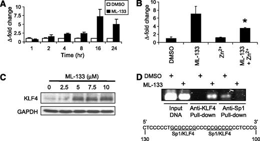 Figure 4. ML-133–mediated up-regulation of the KLF4 transcription factor. A, treatment of HT-29 cells with 1 μmol/L ML-133 produced a time-dependent increase in the gene expression of KLF4. B, KLF4 gene expression induced by treatment with 1 μmol/L ML-133 for 16 h was partially reversed in the presence of 25 μmol/L ZnCl2. (*, P < 0.05 versus ML-133). C, increased protein expression of KLF4 was detected by Western blotting after treatment with the indicated concentrations of ML-133 for16 h compared with 0.01% DMSO vehicle control. D, transcription factor binding activity determined by chromatin immunoprecipitation assay showed increased KLF4 binding and decreased Sp1 binding to the cyclin D1 promoter (-231 to -92) upon ML-133 treatment.