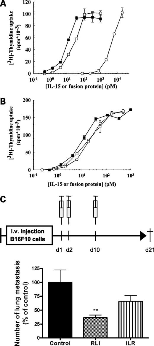 Figure 1. Comparison of RLI and ILR. Cell proliferation was evaluated by incorporation of [3H]thymidine. A, Mo7e cells were cultured with increasing concentrations of human recombinant IL-15 (○), RLI (▪), or ILR (□). B, Kit225 cells were incubated with increasing concentrations of IL-15 (○), RLI (▪), or ILR (□) in the presence of a fixed concentration of A41 (66 nmol/L). Points, mean of triplicate wells and are representative of two independent experiments; bars, SD. C, top, schematic of the regimen in mice bearing i.v. B16F10 melanoma cells (1 × 105). Mice were given three doses of either saline (Control; n = 22), RLI (2 μg; n = 22), or ILR (2 μg; n = 26) i.p. At day 21, B16 nodules on the lungs were counted. Columns, mean; bars, SEM. **, P < 0.01 versus control, Dunnett's multiple comparison test.