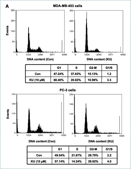 Figure 3. A, KU-55933 arrests the cell cycle at the G1 phase. MDA-MB-453 and PC-3 cells were treated with KU-55933 (10 μmol/L) for 3 d. After treatment, cells were collected and subjected to flow cytometry analysis after they were fixed with 70% ethanol and stained with propidium iodide. The results were analyzed by the Modfit 2 software. B, KU-55933 downregulates cyclin D1 levels and inhibits GSK phosphorylation in MDA-MB-453 and PC-3 cells. Subconfluent cancer cells were serum-starved for 24 h. They were then treated with KU-55933 (10 μmol/L) for 1 h before the addition of insulin (100 nmol/L) and IGF-I (50 ng/mL) for another 45 min. Cyclin D1, phospho-GSK3β at Ser9, and β-tubulin were detected by immunoblotting. C, proteasomal inhibitor did not abolish the decrease of cyclin D1 caused by treatment with KU-55933. MDA-MB-453 and PC-3 cells were serum starved for 24 h and then treated with KU-55933 (10 μmol/L), ALLN (20 μmol/L), or ALLN plus KU-55933 for the indicated time. Cyclin D1 and β-tubulin were detected by immunoblotting. D, KU-55933 did not cause decreased transcription of cyclin D1 in MDA-MB-453 or PC-3 cells. Subconfluent cells were starved for 24 h and then treated with KU-55933 (10 μmol/L) for 2 h. Total cellular RNA was purified and reverse transcription-PCR was done as described in Materials and Methods. The midpoint for linearity of the exponential phase of amplification of the cyclin D1 mRNA was determined to be 25 cycles. The PCR products were resolved in a 1.0% agarose gel stained with ethidium bromide. The results in A to D are representative of three individual experiments.
