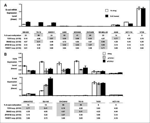 Figure 2. Branched DNA assay measurement of the effect of 5-AC or siRNA treatment on E-cad transcript expression. In all cases, the bar graphs depict branched DNA assay measurements of transcript levels. The y axis of each bar is a cyclophilin-normalized expression. The error bars indicate one standard deviation for duplicate measurements. Factors that are proposed as suppressive of E-cad expression are shown in tabular form (log2 data from Table 1), with grayed or cross-hatched blocks indicating proposed repressive levels (as described in Table 1). Because of variations in the number of cells harvested, we do not consider the branched-DNA assay expression levels to be accurate for cross-cell line comparisons. A, the effect of 5-AC on E-cad expression levels. The open bars indicate E-cad expression in the absence of drug. The black bars indicate E-cad expression after 5-AC treatment for 24 h at 2, 0.5, 0.5, 2, 2, 0.5, 2, 2, 0.1, and 1 mg/mL (for SW-620, TK-10, IGROV1, A498, NCI-H460, OVCAR-8, SK-MEL-28, A549-ATCC, HCT-116, and HT29, respectively). B, the effect of TCF8 down-regulation by siRNA on E-cad expression levels. Six cell lines were treated with siNeg (white bars), siTCF8.1 (vertically striped bars), or siTCF8.2 (black bars), and their TCF8 and E-cad expression levels were determined.