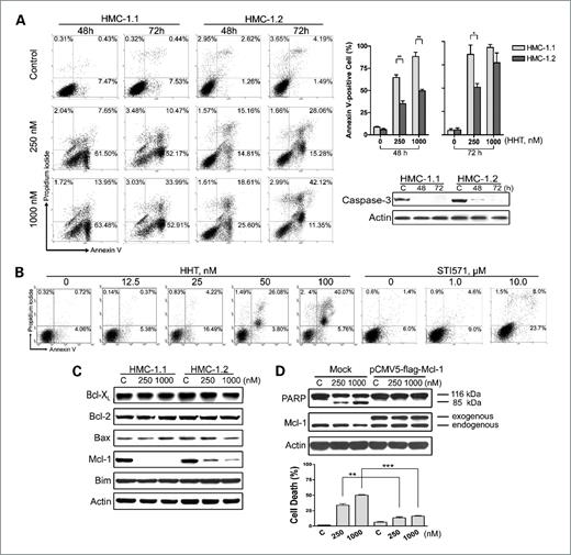 Figure 3. HHT induces apoptosis in mast cells expressing D816V KIT. A, after 48- or 72-h exposure to 250 and 1,000 nmol/L of HHT, HMC-1.1 and HMC-1.2 cells were subjected to Annexin V–PI double staining and flow cytometry analysis (left and top right) or Western blotting analysis for caspase-3 (bottom right). Columns, mean; bars, SE. *, P < 0.05; **, P < 0.01; ***, P < 0.0001, Student's t test, compared between two cell lines. B, HHT induced apoptosis in murine mastocytoma P815 cells. After 24-h incubation of P815 cells with 25 to 100 nmol/L of HHT, apoptotic cell death was then assayed by flow cytometry after Annexin V–PI double staining. P815 cells were sensitive to HHT but resistant to STI571. C, effects of HHT on apoptotic proteins of the Bcl-2 family. After HMC-1.1 and HMC-1.2 cells were treated with the indicated concentrations of HHT for 72 h, the levels of Bcl-XL, Bcl-2, Bax, Mcl-1, and Bim were evaluated by Western blotting analysis. D, enforced expression of Mcl-1 abrogated the HHT-mediated apoptosis. Twenty-four hours after transfection with mock (pCMV5-flag empty vector) or the construct encoding Mcl-1 (see Materials and Methods), HMC-1.1 cells were exposed to various concentrations of HHT for another 24 h. Bottom, cell viability was evaluated by trypan blue exclusion. Mcl-1 and PARP were then detected by immunoblotting analysis (45). HMC-1.1 cells transfected with either mock (empty vector) or pCMV5-flag-Mcl-1 possessed essentially equivalent basal levels of endogenous Mcl-1, whereas the Mcl-1–transfected cells had a steady expression of exogenous Mcl-1 (Mcl-1-flag). **, P < 0.01; ***, P < 0.0001, Student's t test based on three independent experiments.