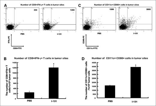 Figure 5. Numbers of tumor-infiltrating T cells and dendritic cells in tumors. A and C, representative flow cytometry data for CD8+IFNγ+ T cells and CD11c+CD86+ cells. B and D, columns indicate numbers of CD8+IFNγ+ T cells and CD11c+CD86+ cells per 1 × 105 cells. The data shown are the means of triplicate experiments. Columns, means; bars, SDs. *, P < 0.001. n = 7 mice per group.