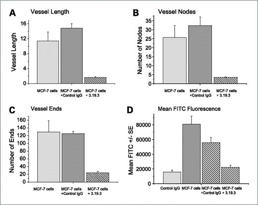Figure 2. Inhibition of blood vessel formation in Matrigel plug assays. The antiangiogenic effects of 3.19.3 was determined using MCF7-driven Matrigel plug implants and quantified according to Wild et al. (32) by measuring CD31-stained frozen sections at the end of the study (day 7). Determination of the effects on (A) vessel length, (B) vessel nodes, (C) vessel ends, relative to IgG controls. D, inhibition of functional tumor blood vessel formation after 3.19.3 treatment (20 mg/kg) given 24 h after Matrigel implantation. Mean FITC-Dextran uptake was determined by measuring fluorescence at the end of the study (day 10). Matrigel plugs alone with no MCF7 cells implanted (Control IgG) are shown as an indication of background, compared with Matrigel plugs containing MCF7 cells with no treatment (MCF7 cells) to indicate maximal angiogenesis, alongside Matrigel plugs with MCF7 cells + Control IgG treatment, and mice harboring Matrigel plugs with MCF7 cells + 3.19.3 treatment.