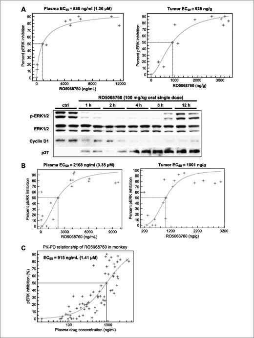 Figure 2. The in vivo PK-PD relationship of RO5068760. Nude mice bearing LOX melanoma (A) and HT-29 colorectal (B) xenograft tumors were treated with RO5068760 as indicated, and the xenograft tumors were harvested at various time points of postdose. The p-ERK/ERK, cyclin D1, and p27 levels in the tumor lysates were examined by Western blot analysis. The tumor lysates were derived from two to three mice for each time point. Percentage of p-ERK inhibition was quantified and plotted against the respective drug concentrations in plasma derived from the same animal. The PK-PD relationship of RO5068760 in tumor-bearing mice was modeled and EC50 was determined. C, cynomolgus monkey was orally dosed with RO5068760 at 40 mg/kg and whole blood was collected at 0, 2, 12, or 24 h postdose. The blood samples were treated with PMA (400 nmol/L) for 10 min, and p-ERK levels (MFI) in gated lymphocytes were analyzed by fluorescence-activated cell sorting. The p-ERK levels were quantified by MFI and plotted against respective plasma drug concentrations measured from the same animals. The PK-PD relationship in monkey was modeled and EC50 was determined.