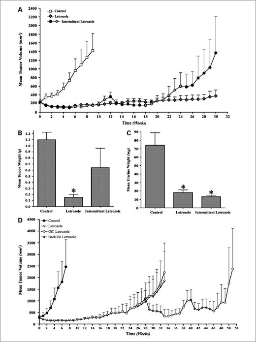 Figure 1. A, effect of intermittent (6 wk on, 6 wk off) letrozole treatment on the growth of MCF-7Ca xenografts. Xenografts of MCF-7Ca cells were grown in mice as described in Materials and Methods. After the tumors reached 300 mm3, mice were treated with either continuous letrozole or intermittent (6 wk on, 6 wk off) letrozole. The tumor volumes were measured weekly. B, effect of intermittent (6 wk on, 6 wk off) letrozole treatment on the mean tumor weight of mice bearing MCF-7Ca xenografts. Xenografts of MCF-7Ca cells were grown in mice as described in Materials and Methods. After the tumors reached 300 mm3, mice were treated with either continuous letrozole or intermittent (6 wk on, 6 wk off) letrozole. The tumor weights were measured at autopsy. The continuous letrozole group had significantly lower mean tumor weight (*, P < 0.01). C, effect of intermittent (6 wk on, 6 wk off) letrozole treatment on the mean uterine weight of mice bearing MCF-7Ca xenografts. Xenografts of MCF-7Ca cells were grown in mice as described in Materials and Methods. After the tumors reached 300 mm3, mice were treated with either continuous letrozole or intermittent (6 wk on, 6 wk off) letrozole. The uterine weights were measured at autopsy. The mean uterine weights of both continuous and intermittent letrozole mice were significantly lower than that of control mice (*, P < 0.001). D, effect of intermittent (6 wk on, 6 wk off) letrozole treatment on the growth of MCF-7Ca xenografts that have acquired resistance to letrozole. Xenografts of MCF-7Ca cells were grown in mice as described in Materials and Methods. After the tumors reached 300 mm3, mice were treated with letrozole at 10 μg/d for 22 wk. At this time, the mice were divided into two groups: one group received continuous letrozole and the other received intermittent (6 wk on, 6 wk off) letrozole. The tumor volumes were measured weekly.