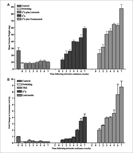 Figure 2. A, mean uterine weights of mice bearing MCF-7Ca xenografts that were switched to Δ4A or trastuzumab (TRZ) treatment after acquisition of letrozole resistance. Xenografts of MCF-7Ca cells were grown in mice as described in Materials and Methods. After the tumors reached 300 mm3, mice were treated with letrozole at 10 μg/d for 22 wk. At this time, the mice were randomized into three groups: one group continued on letrozole, the second group received Δ4A, and the third group received trastuzumab; after which, three mice were sacrificed each week from each group. The uterine weights were measured at autopsy. B, aromatase activity in MCF-7Ca xenografts that were switched to Δ4A or trastuzumab treatment after acquisition of letrozole resistance. Xenografts of MCF-7Ca cells were grown in mice as described in Materials and Methods. After the tumors reached 300 mm3, mice were treated with letrozole at 10 μg/d for 22 wk. At this time, the mice were randomized into three groups: one group continued on letrozole, the second group received Δ4A, and the third group received trastuzumab; after which, three mice were sacrificed each week from each group. The tumors were collected at autopsy. Aromatase activity was measured by radiometric 3H2O release assay.