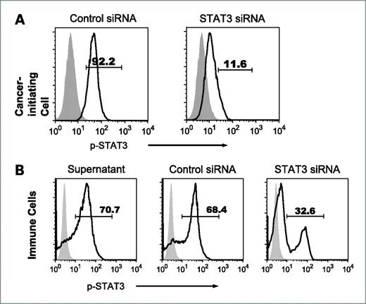 Figure 3. Glioma-associated cancer-initiating cells express p-STAT3 and induce p-STAT3 expression in human immune cells. A, STAT3 siRNA–treated glioma-associated cancer-initiating cells express lower p-STAT3 compared with control siRNA. B, glioma-associated cancer-initiating cell supernatants enhance the expression of p-STAT3 in PBMCs, and the supernatants from STAT3 siRNA–treated cancer-initiating cells reduce p-STAT3 level in PBMCs. p-STAT3 expression in normal donor PBMCs was measured by intracellular p-STAT3 (pY705) staining via flow cytometry after 3 d of coculture with cancer-initiating cell supernatants in the presence of anti-CD3/CD28 stimulation. Representative histograms are shown from three independent experiments. Black line, p-STAT3; gray shade, isotype control.
