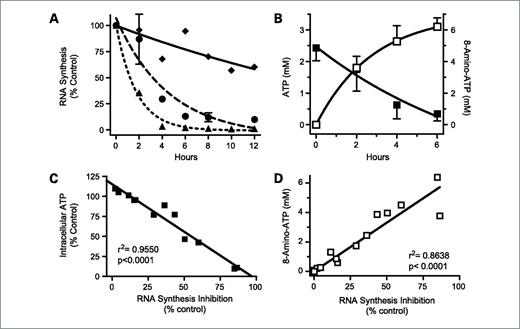 Figure 1. Actions of 8-amino-adenosine on RNA synthesis (A) and intracellular ATP pool (B). A, cells were incubated with 1 μmol/L (⧫), 10 μmol/L (•), and 30 μmol/L (▴) 8-amino-adenosine, and RNA synthesis was measured using uridine incorporation assay. B, cells were incubated with 10 μmol/L 8-amino-adenosine for the indicated times, and the ATP (▪) and 8-amino-ATP (□) intracellular concentrations were measured by high-performance liquid chromatography. C, relationship between ATP decline and inhibition of RNA synthesis. Data from A and B were plotted. D, relationship between 8-amino-ATP accumulation and inhibition of RNA synthesis. Data from A and B were plotted.