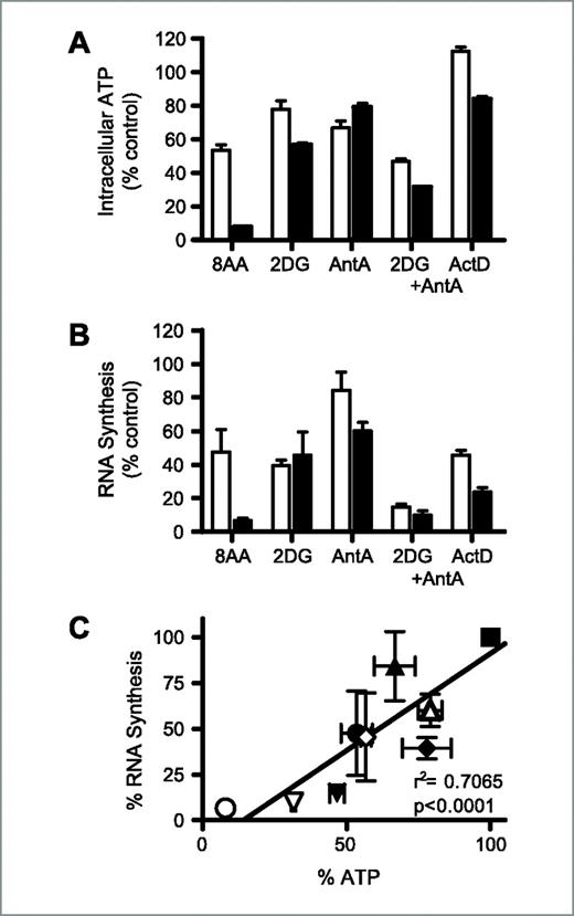 Figure 2. Effect of RNA and ATP synthesis inhibitors on intracellular ATP pool and RNA synthesis. A and B, cells were incubated with 10 μmol/L 8-amino-adenosine (8AA), 5 mmol/L 2-deoxy-d-glucose (2DG), 2 μmol/L antimycin A (AntA), a combination of 2 μmol/L antimycin A and 5 mmol/L 2-deoxy-glucose (2DG + AntA), and 0.1 μg/mL actinomycin D (ActD) for 2 h (white columns) and 4 h (black columns). Intracellular ATP pool A) and RNA synthesis (B) were measured as described in Materials and Methods. C, relationship between the ATP pool and RNA synthesis inhibition by ATP synthesis inhibitors, untreated (square), 8-amino-adenosine (○), antimycin A (▵), 2-deoxy-d-glucose (⋄), antimycin A + 2-deoxy-d-glucose (▿) at 2 h (□) and 4 h (▪). Data obtained in A and B were plotted.