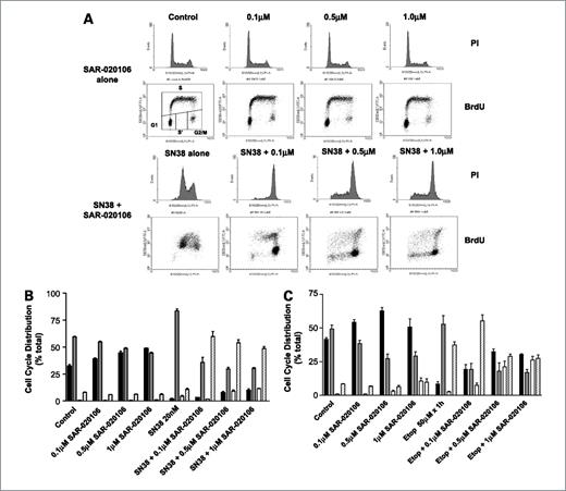 Figure 2. Effects of SAR-020106 on drug-induced cell cycle arrest in SW620 and HT29 colon cancer cells. A, effects of different concentrations of SAR-020106 alone (0.1, 0.5, and 1 μmol/L) or in combination with a fixed concentration of SN38 (20 nmol/L) for 24 h on cell cycle distribution in SW620 cells. Histograms, cell cycle distribution as measured by propidium iodide (PI) DNA staining; dot plots, DNA synthesis as measured by BrdUrd incorporation. Cell cycle distribution was assessed by BrdUrd distribution (G1, S, S', and G2-M) as shown and described in Materials and Methods. B, quantification of the effects of different concentrations of SAR-020106 on SN38-induced (20 nmol/L) cell cycle arrest in SW620 cells at 24 h. ▪, G1-G0 phase; , S phase; □, S' phase; , G2-M phase. C, quantification of the effects of different doses of SAR-020106 on etoposide induced (50 μmol/L ×1 h) cell cycle arrest in HT29 cells 23 h following cytotoxic exposure. Symbols as in B. Columns, mean derived from three independent experiments; bars, SD.