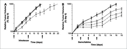 Figure 6. Antitumor effects of combining SAR-020106 with different cytotoxic agents in nude mice bearing SW620 xenograft tumors. A, combination of SAR-020106 with irinotecan. Vehicle alone (•) and irinotecan alone (◊; 12.5 mg/kg i.p.) were administered on the days shown by arrows. ▿, SAR-020106 alone (40 mg/kg i.p.); ▾, irinotecan and SAR-020106 combined (SAR-020106 was administered 1 h before irinotecan using the single agent doses). B, combination of SAR-020106 with gemcitabine. •, vehicle alone; ◊, gemcitabine alone (60 mg/kg i.v.); ▿, SAR-020106 alone (40 mg/kg i.p.); ♦, gemcitabine and SAR-020106 combined at single agent doses (SAR-020106 1 h before gemcitabine); or ▾, combination with SAR-020106 administered 24 h following gemcitabine. Points, mean (n = 10–16); bars, SEM. Tumor size and animal body weight was assessed as described in Materials and Methods.