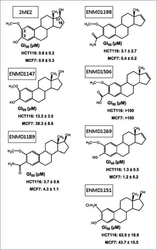 Figure 1. Structure of 2ME2 and analogues, and growth inhibition. GI50 and SEM values (bottom of the structures) represent the averages of four (HCT116) and three (MCF7) experiments, respectively. Note that in ENMD-1147, the 17-hydroxy group is in the α configuration.