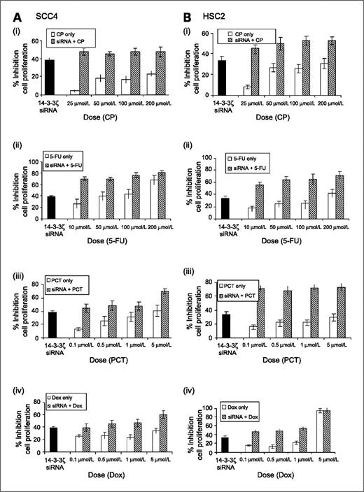 Figure 2. SCC4 cells were transfected with siRNA targeting 14-3-3ζ for 24 h followed by treatment with cisplatin (25–200 μmol/L)/5-FU (10–200 μmol/L)/paclitaxel (0.1–5 μmol/L)/doxorubicin (0.1–5 μmol/L) for another 48 h. Inhibition of cell proliferation was determined by cell proliferation assay using MTT as described in Materials and Methods. Panels show increased inhibition of cell proliferation in 14-3-3ζ siRNA-transfected SCC4 (A) and HSC2 (B) cells on treatment with cisplatin (i; CP), 5-FU (ii), paclitaxel (iii; PCT), and doxorubicin (iv; Dox). Columns, mean of cell death observed at the respective dose; bars, SD.