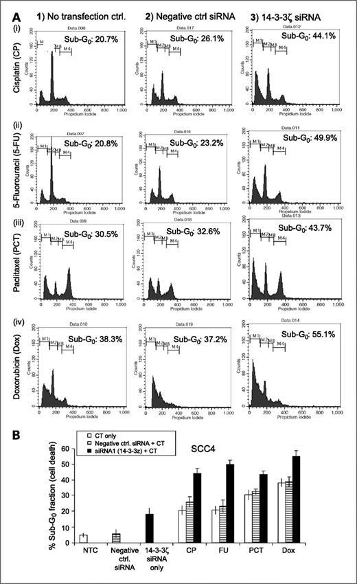 Figure 3. SCC4 cells were transfected with siRNA targeting 14-3-3ζ for 24 h followed by treatment with cisplatin (50 μmol/L)/5-FU (50 μmol/L)/paclitaxel (0.5 μmol/L)/doxorubicin (5 μmol/L) for another 48 h. Effects of combining 14-3-3ζ gene silencing with chemotherapeutic agents on cell cycle were determined by flow cytometry using PI staining as described in Materials and Methods. Cell cycle analyses of SCC4 (A) and HSC2 (C) cells showed (1) no transfection control cells (SCC4/HSC2) treated with chemotherapeutic agents cisplatin (i), 5-FU (ii), paclitaxel (iii), and doxorubicin (iv); (2) SCC4/HSC2 cells transfected with negative control siRNA for 24 h followed by treatment with chemotherapeutic agents cisplatin (i), 5-FU (ii), paclitaxel (iii), and doxorubicin (iv) showing no significant difference from no transfection controls; and (3) SCC4 cells transfected with siRNA followed by treatment with chemotherapeutic agents cisplatin (i), 5-FU (ii), paclitaxel (iii), and doxorubicin (iv) showing significant increase in sub-G0 fraction. Bar graph showing comparative analysis of % of cells in sub-G0 fraction indicating cell death induced by chemotherapeutic agents (cisplatin/5-FU/paclitaxel/doxorubicin) in no transfection control, negative control siRNA, and 14-3-3ζ targeting siRNA transfectants in SCC4 (B) and HSC2 (D) cells.