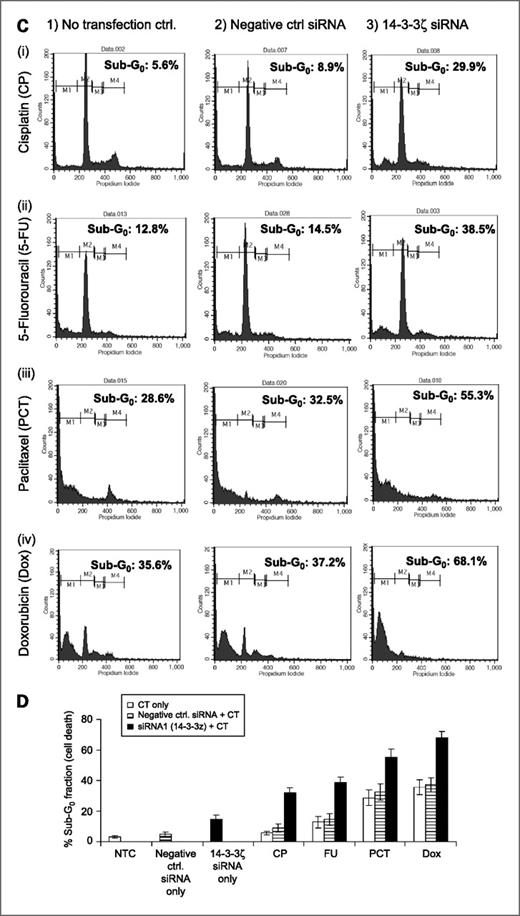 Figure 3. SCC4 cells were transfected with siRNA targeting 14-3-3ζ for 24 h followed by treatment with cisplatin (50 μmol/L)/5-FU (50 μmol/L)/paclitaxel (0.5 μmol/L)/doxorubicin (5 μmol/L) for another 48 h. Effects of combining 14-3-3ζ gene silencing with chemotherapeutic agents on cell cycle were determined by flow cytometry using PI staining as described in Materials and Methods. Cell cycle analyses of SCC4 (A) and HSC2 (C) cells showed (1) no transfection control cells (SCC4/HSC2) treated with chemotherapeutic agents cisplatin (i), 5-FU (ii), paclitaxel (iii), and doxorubicin (iv); (2) SCC4/HSC2 cells transfected with negative control siRNA for 24 h followed by treatment with chemotherapeutic agents cisplatin (i), 5-FU (ii), paclitaxel (iii), and doxorubicin (iv) showing no significant difference from no transfection controls; and (3) SCC4 cells transfected with siRNA followed by treatment with chemotherapeutic agents cisplatin (i), 5-FU (ii), paclitaxel (iii), and doxorubicin (iv) showing significant increase in sub-G0 fraction. Bar graph showing comparative analysis of % of cells in sub-G0 fraction indicating cell death induced by chemotherapeutic agents (cisplatin/5-FU/paclitaxel/doxorubicin) in no transfection control, negative control siRNA, and 14-3-3ζ targeting siRNA transfectants in SCC4 (B) and HSC2 (D) cells.