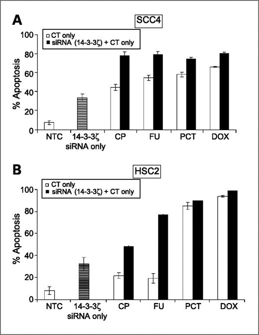 Figure 5. TUNEL assay was carried out to verify apoptosis as described in Materials and Methods. Panels show bar graph showing comparative analysis of % apoptosis in no transfection control, 14-3-3ζ siRNA only transfected cells, and that induced by chemotherapeutic agents (cisplatin/5-FU/paclitaxel/doxorubicin) in SCC4 (A) and HSC2 (B) cells transfected with 14-3-3ζ siRNA (P < 0.05).