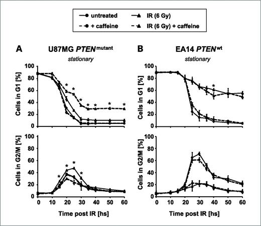 Figure 2. Caffeine increases IR-induced G1 arrest in PTEN-deficient but not PTEN-proficient glioma cells. U87MG (A) and EA14 cells (B) were synchronized by contact inhibition and seeded into 25-cm2 culture flasks. In their stationary growth phase, cells were irradiated in the absence or presence of 2 mmol/L caffeine. The kinetics of cell cycle distribution from 0 to 60 h after IR was determined by flow cytometry using the BrdUrd-Hoechst quenching technique. The results are expressed as percentage of cells in G0-G1 (top) or G2-M phase (bottom) of the ongoing cell cycle. Points, mean percentages from at least three independent experiments are presented; bars, SD. *, significant differences (P < 0.01) in cell cycle distribution of cells irradiated in the absence or presence of caffeine.