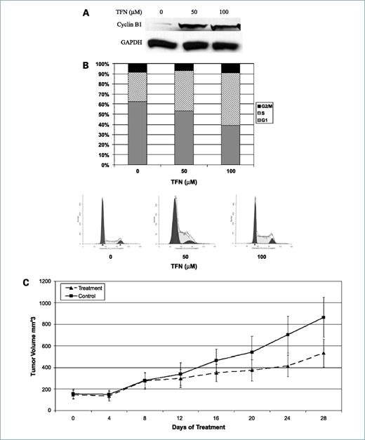 Figure 2. TFN induces cell cycle arrest in vitro and suppresses in vivo proliferation of GI carcinoid cells. BON GI carcinoid cells were treated with the indicated doses of TFN and incubated for 48 h. A, a dose-dependent accumulation of cyclin B1 was observed by Western blot, with GAPDH serving as a loading control. B, propidium iodide exclusion flow cytometry showed a dose-dependent accumulation of S-phase products. Together, these data suggest that TFN can induce in vitro cell cycle arrest before the G2-M transition. C, daily oral gavage with 35 mg/kg LFN of nude mice with subcutaneous xenografted NETs resulted in the progressive inhibition of growth, statistically significant after 24 d (P < 0.02). This result suggests that the observed in vitro growth suppression can be replicated in vivo.