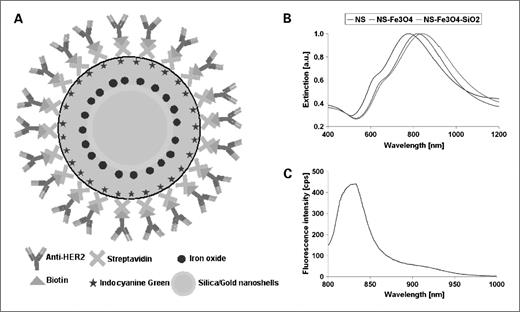 Figure 1. A, schematic representation of anti-HER2–conjugated nanoshell contrast agents. B, extinction spectra of nanoshells (blue) resonant in the near IR at 777 nm, nanoshells after coating with Fe3O4 (red) resonant at 821 nm, and after encapsulating in a silica SiO2 epilayer (green) resonant at 842 nm. NS, nanoshell. C, fluorescence spectrum of indocyanine green doped in the silica layer of the nanoshells at 833 nm.