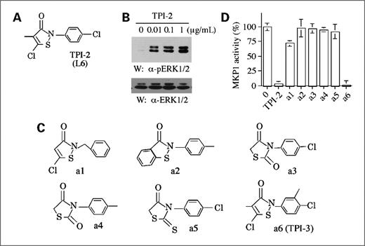 Figure 1. Identification of MKP1 inhibitors TPI-2 and TPI-3. A, chemical structure of TPI-2 (L6). B, Jurkat cells treated with TPI-2 for 30 min were analyzed by Western blotting to quantify pERK1/2 and ERK1/2 levels. C, chemical structures of TPI-2 analogues. D, activities of recombinant MKP1 in the presence of TPI-2 or its analogues (1 μg/mL) in phosphatase assays (mean ± SD of duplicates).