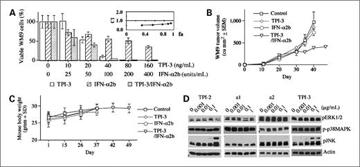 Figure 4. TPI-3 synergizes with IFNα2b in growth inhibition of WM9 melanoma cells in vitro and sensitized WM9 tumors to IFNαb2 therapy in mice. A, WM9 cells were cultured in the absence or presence of TPI-3, IFNα2b, or the combination for 6 d. Viable cells were quantified by MTT assays (mean ± SD of triplicates). Interactions of TPI-3 with IFNα2b in growth inhibition of WM9 cells in culture as evaluated by median effect analysis to calculate CI value (inset). B, nude mice bearing 4-d established WM9 tumors were treated with vehicle control, TPI-3 (10 mg/kg, orally daily Monday to Friday/wk), IFNα2b (5 × 105 IU/mouse, s.c., daily Monday to Friday/wk), or the combination. Tumor volumes (n = 8) were recorded. C, body weights of the mice in B during the study. D, WM9 cells treated with TPI-2 and its analogues for 10 min in culture were analyzed by Western blotting with antibodies as indicated. The blots represent two replicates.