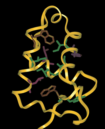 Issue cover image