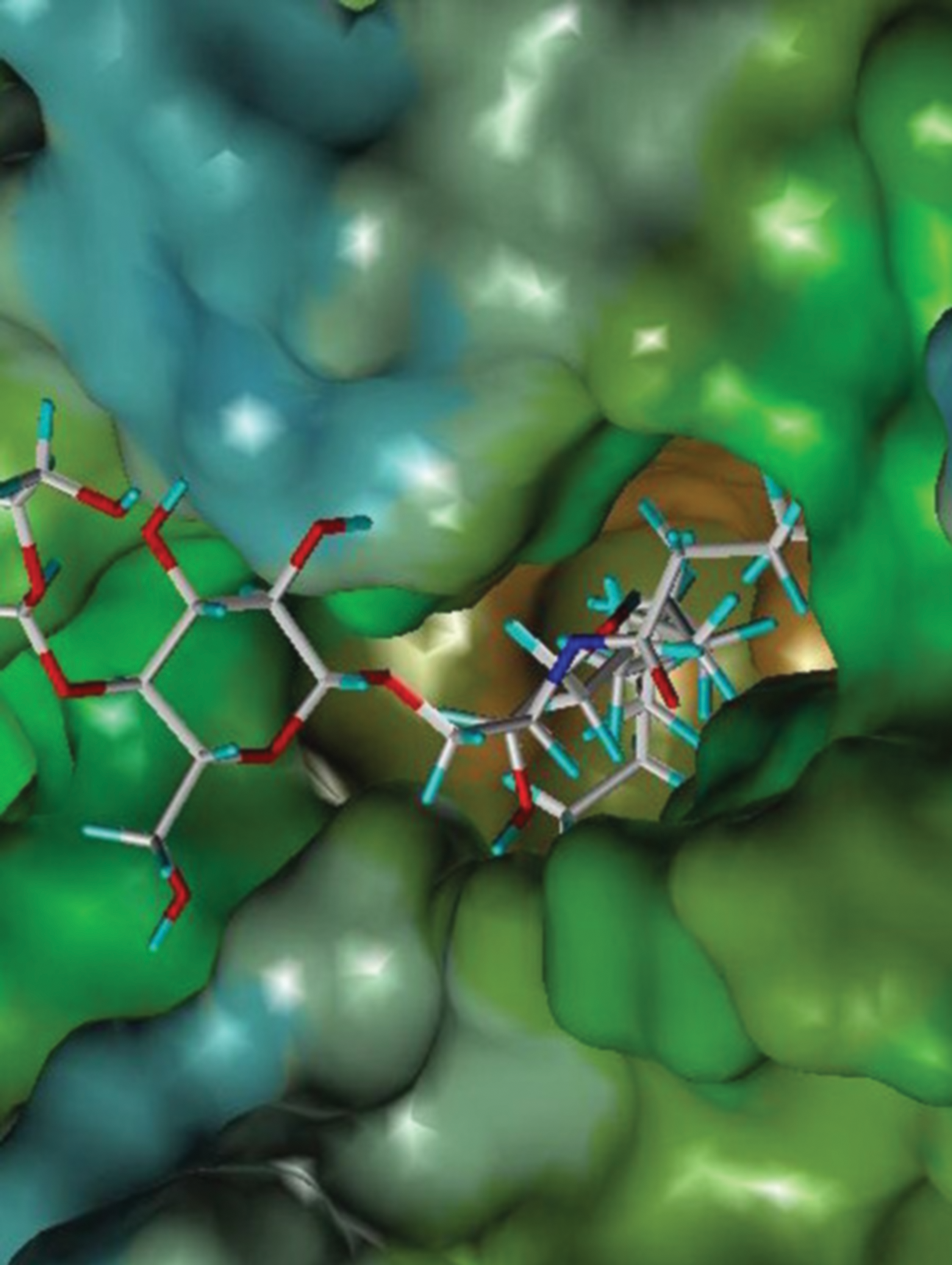 Issue cover image